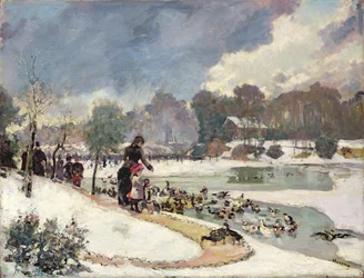 Canards dans le Bois de Boulogne